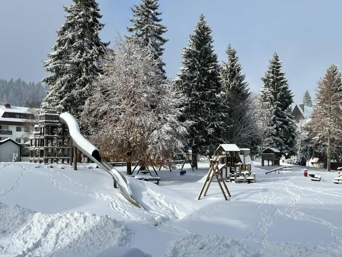 Relaxapartments Black Forest Emotion Mit Sonnenbalkon Mit Blick Auf Den Kurpark, Schnelles Internet, Naehe Triberger Wasserfaelle, Fuer Bis Zu 2 Personen Schönwalde Εξωτερικό φωτογραφία