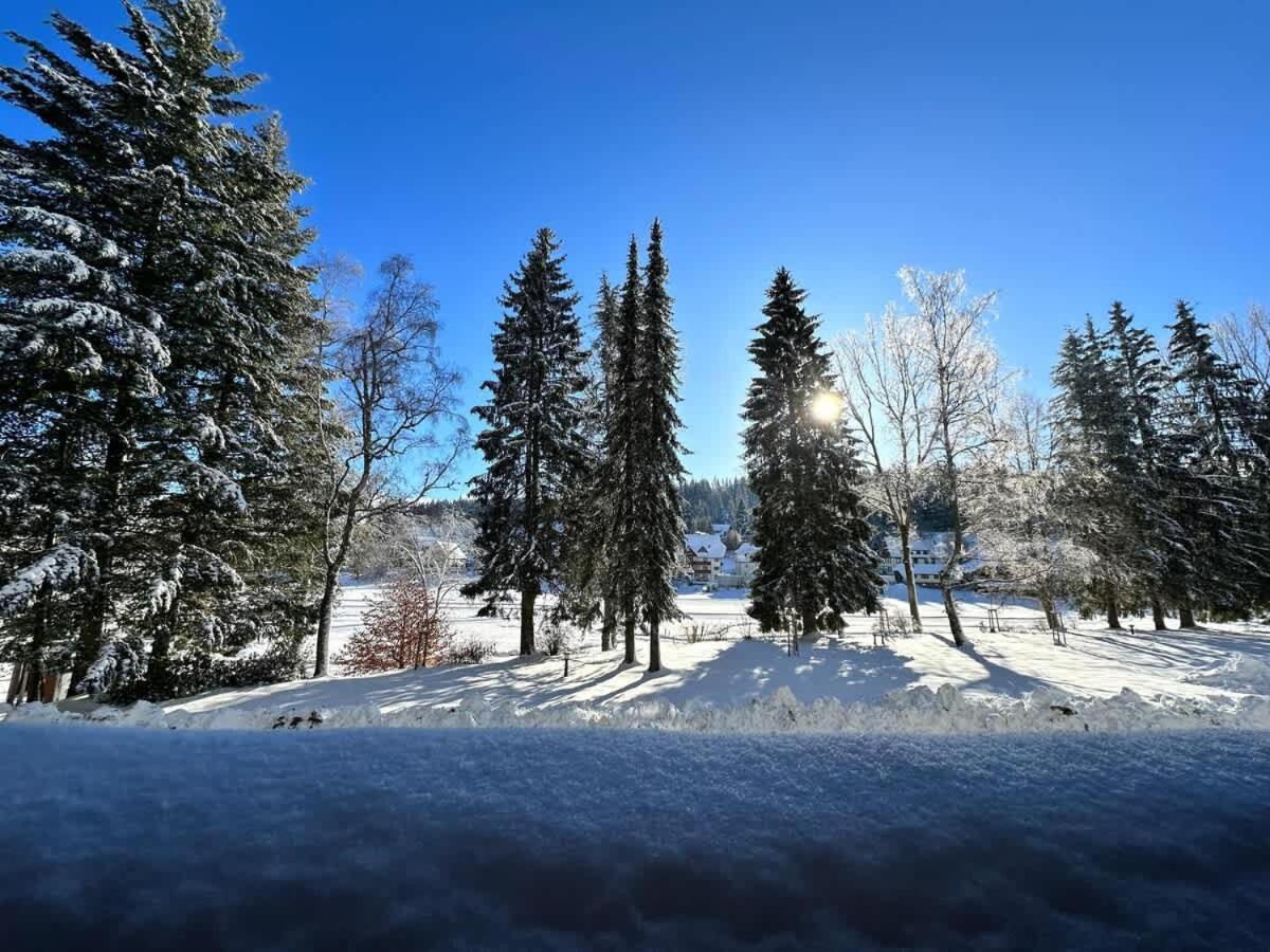 Relaxapartments Black Forest Emotion Mit Sonnenbalkon Mit Blick Auf Den Kurpark, Schnelles Internet, Naehe Triberger Wasserfaelle, Fuer Bis Zu 2 Personen Schönwalde Εξωτερικό φωτογραφία